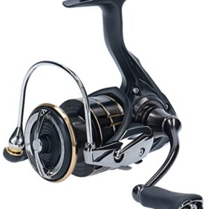 DAIWA 20 Ballistic EX LT, 4000D-C, Spinning Fishing Reel