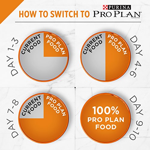 Purina Pro Plan With Probiotics, High Protein Dry Kitten Food, Shredded Blend Chicken & Rice Formula - 3 lb. Bag