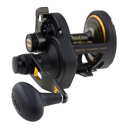 Penn 1292932 Fathom 25N Lever 2-Speed Lever Drag Fishing Reel