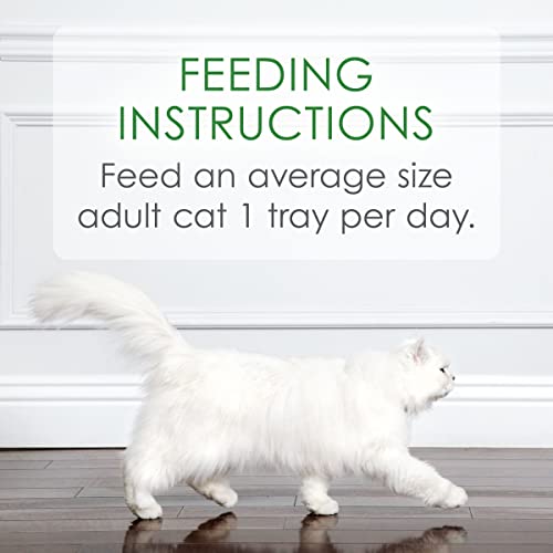 Fancy Feast Purina Gravy, Grain Free Wet Cat Food Complement, Appetizers White Meat Chicken & Flaked Tuna - (10) 1.1 oz. Trays