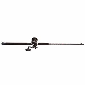 Penn 1404029 Rival Level Wind Conventional Reel, 20, 5.1: Gear Ratio, 6'6" 1pc Rod, 20-40 Line Rate, Medium/Heavy Power