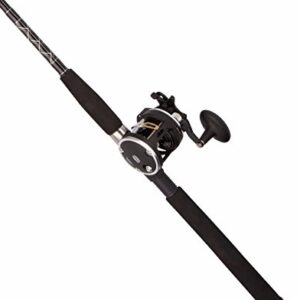 Penn 1404029 Rival Level Wind Conventional Reel, 20, 5.1: Gear Ratio, 6'6" 1pc Rod, 20-40 Line Rate, Medium/Heavy Power