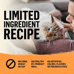 Purina Beyond Grain Free, Natural Dry Cat Food, Grain Free White Meat Chicken & Egg Recipe - 3 lb. Bag