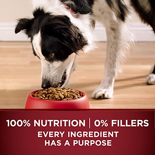 Purina ONE High Protein, Natural Dry Dog Food, True Instinct With Real Salmon & Tuna - 7.4 lb. Bag