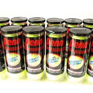 Penn Championship (20 Cans, 60 Balls Total Regular Duty Felt)