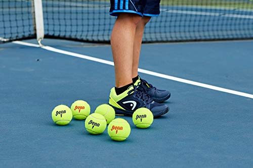 Penn Championship Tennis Balls - Extra Duty Felt Pressurized Tennis Balls - 6 Cans, 18 Balls