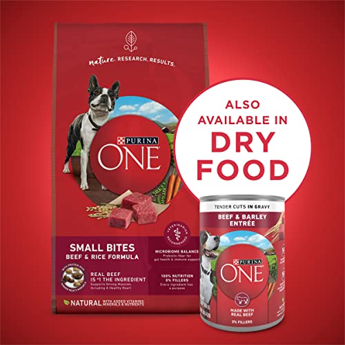 Purina ONE Tender Cuts in Gravy Beef and Barley Entree in Wet Dog Food Gravy - (12) 13 oz. Cans