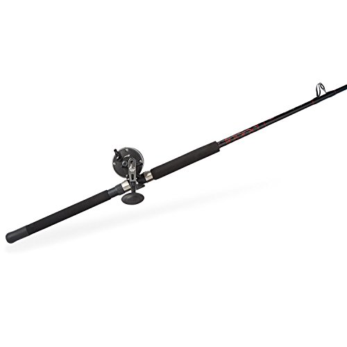 Penn Warfare 30LW Level Wind Fishing Rod and Reel Combo, 6.5 Feet