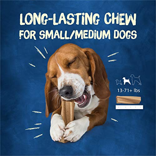 Busy Purina Bone Made in USA Facilities, Long Lasting Small/Medium Breed Adult Dog Chews, Peanut Butter Flavor - 6 ct. Pouch