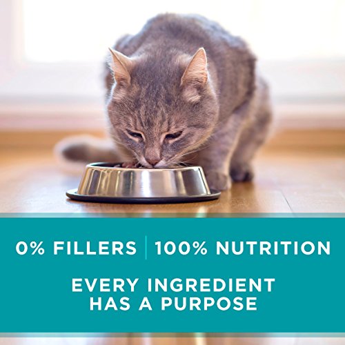 Purina ONE Natural High Protein Cat Food, True Instinct Chicken Recipe in Gravy - (24) 3 oz. Pull-Top Cans