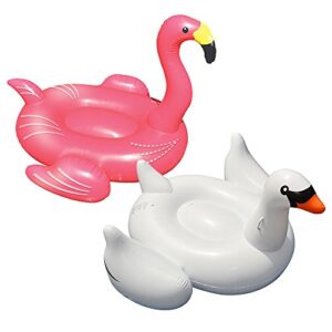 swimline giant swan and giant flamingo for swimming pools