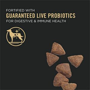 Purina Pro Plan Sensitive Skin and Stomach Dog Food Salmon and Rice Formula - 16 lb. Bag