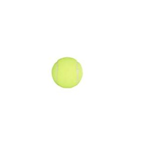 Penn Championship Extra Duty Tennis Balls (Pack of 12 Cans) (36 Balls)