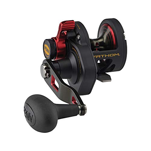 PENN Fishing Fathom Lever Drag Conventional Fishing Reel, Black Gold, 10XN (FTH10XNLD)