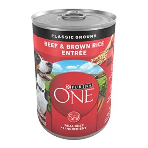 Purina ONE Classic Ground Beef and Brown Rice Entree Adult Wet Dog Food - (12) 13 oz. Cans