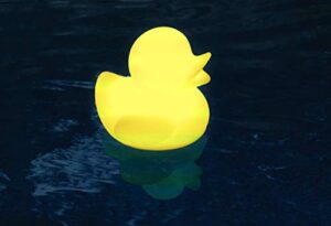 swimline 13500 led ducky floating light