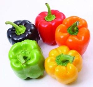 Rainbow Blend Sweet Bell Pepper Seeds, 50+ Heirloom Seeds Per Packet, (Isla's Garden Seeds), Non GMO Seeds