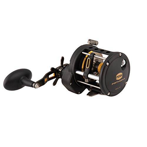 PENN Fishing FTHII30LW Spinning Rod & Reel Combos, Black Gold (1481311)