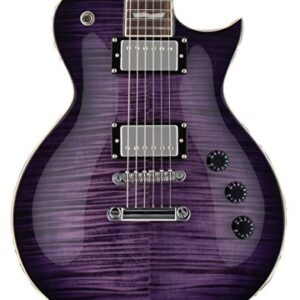 ESP LTD EC-256FM Electric Guitar, See Thru Purple Sunburst