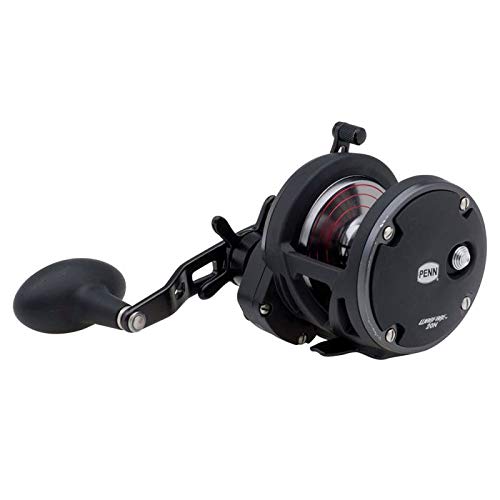 Penn - Warfare Star Drag Reel - 20N, 5.1:1 Gear Ratio, 3 Bearings, 15 lb Max Drag, Ambidextrous, Boxed