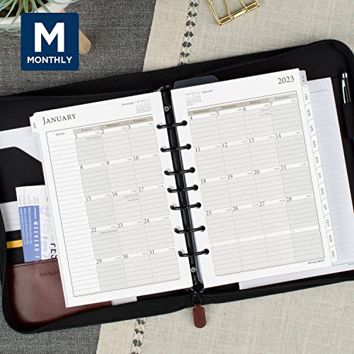 AT-A-GLANCE 2023 Daily Planner Refill, Hourly, 5-1/2" x 8-1/2", 12010 Day-Timer, Size 4, Desk Size, Two Pages Per Day, Loose Leaf, Monthly Tabs (481-225)