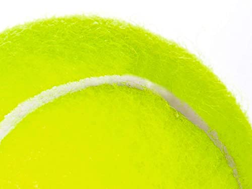 Penn Championship High Altitude Head Tennis Balls – 2 Pack 6 Balls Yellow - USTA & ITF Approved - Official Ball of The United States Tennis Association Leagues - Natural Rubber for consistent Play