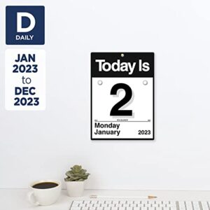 AT-A-GLANCE 2023 Daily Wall Calendar Refill, "Today Is", 6" x 6", Small (K150)
