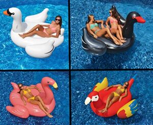 swimline giant white swan/flamingo/black swan/parrot floats for swimming pools (4 pack)