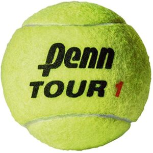 Penn Tour (Extra Duty) Tennis Balls (Case)