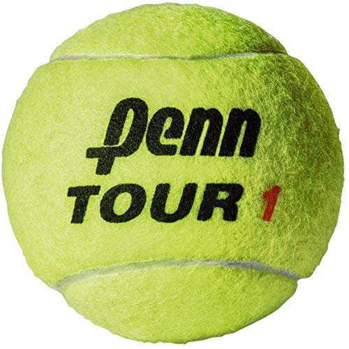 Penn Tour (Extra Duty) Tennis Balls (Case)