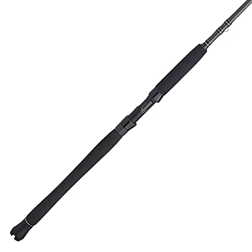 PENN Carnage III Inshore Spinning Fishing Rod