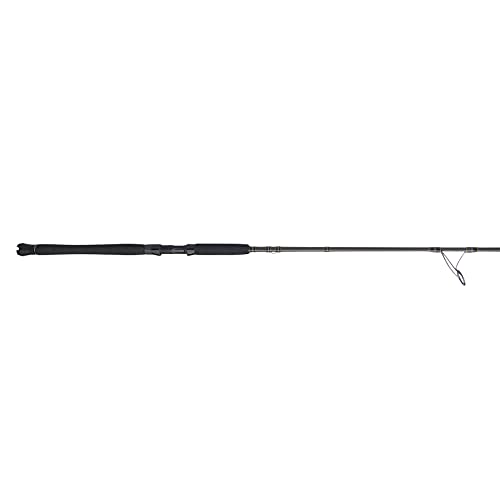 PENN Carnage III Inshore Spinning Fishing Rod