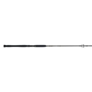 PENN Carnage III Inshore Spinning Fishing Rod