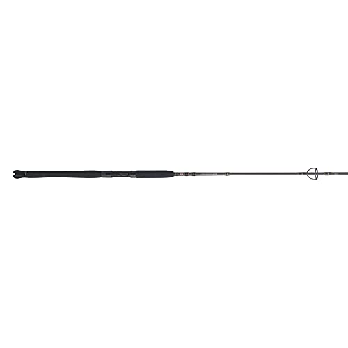 PENN Carnage III Inshore Spinning Fishing Rod