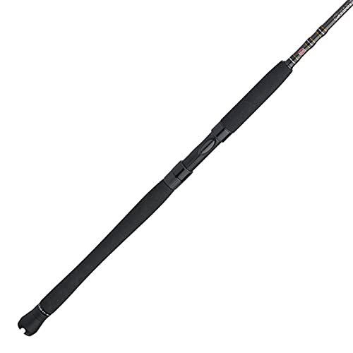 PENN Carnage III Inshore Spinning Fishing Rod