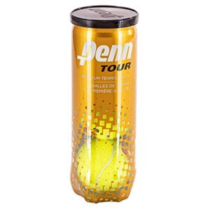 Penn ATP Regular Duty Tennis Balls (Case)