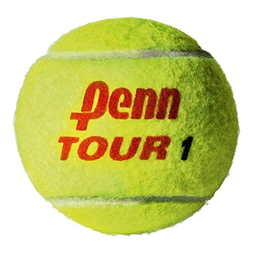 Penn ATP Regular Duty Tennis Balls (Case)