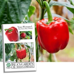 yolo wonder l red sweet bell pepper seeds for planting, 100+ heirloom seeds per packet, (isla’s garden seeds), non gmo seeds, botanical name: capsicum annuum, great home garden gift