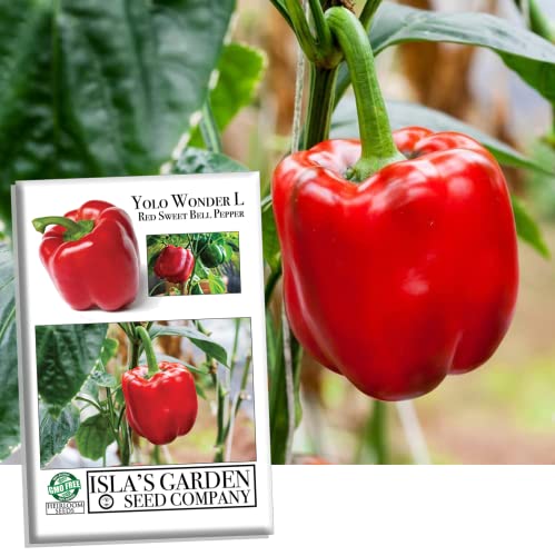 Yolo Wonder L Red Sweet Bell Pepper Seeds for Planting, 100+ Heirloom Seeds Per Packet, (Isla's Garden Seeds), Non GMO Seeds, Botanical Name: Capsicum annuum, Great Home Garden Gift