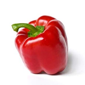 Yolo Wonder L Red Sweet Bell Pepper Seeds for Planting, 100+ Heirloom Seeds Per Packet, (Isla's Garden Seeds), Non GMO Seeds, Botanical Name: Capsicum annuum, Great Home Garden Gift