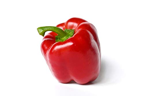 Yolo Wonder L Red Sweet Bell Pepper Seeds for Planting, 100+ Heirloom Seeds Per Packet, (Isla's Garden Seeds), Non GMO Seeds, Botanical Name: Capsicum annuum, Great Home Garden Gift