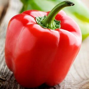 Yolo Wonder L Red Sweet Bell Pepper Seeds for Planting, 100+ Heirloom Seeds Per Packet, (Isla's Garden Seeds), Non GMO Seeds, Botanical Name: Capsicum annuum, Great Home Garden Gift