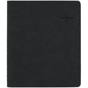 at-a-glance 2023 daily planner, hourly appointment book, 6-1/2″ x 8-3/4″, medium, monthly tabs, the action planner, black (70ep0305)