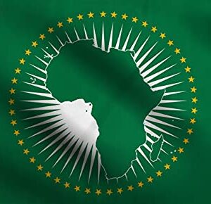 DMSE African Union AU Flag 3X5 Ft Foot 100% Polyester 100D Flag UV Resistant (3' X 5' Foot)