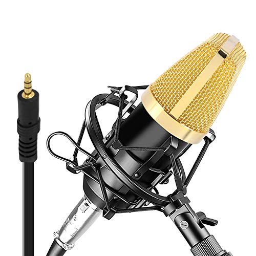 Pyle PDMIC71 Condenser Microphone Bundle, 3.5 mm Recording Microphone, Shock Mount Plug and Play,Computer Microphone, Podcast, Recording, Studio Vocal, YouTube