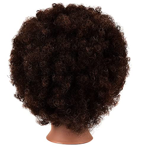 Morris African American Mannequin Head With 100% Human Hair Hairdresser Manikin Curly hair Head Training Head Cosmetology Doll Head for Practice Styling Braiding with Clamp Stand