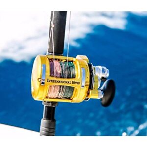 Reels Saltwater Lever Drag PENN INT80VISWS International Leverdrag Conventional 2-Speed Reel 80