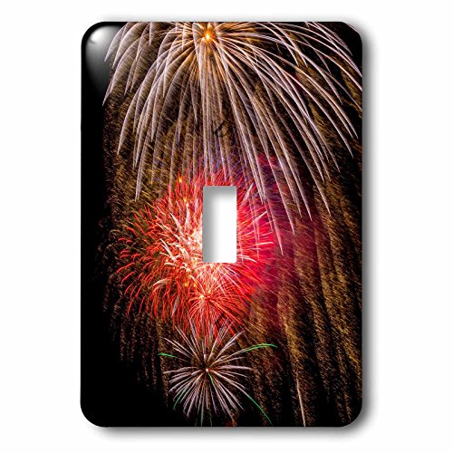 3dRose lsp_190716_1 Usa, Colorado, Frisco, Dillon Reservoir Fireworks Display, July 4Th Light Switch Cover