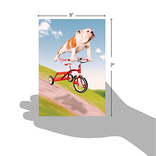 NobleWorks - 1 Adorable Birthday Card Funny - Pet Dog Animal Humor, Bday Notecard with Envelope - Dog on Trike C3204BDG