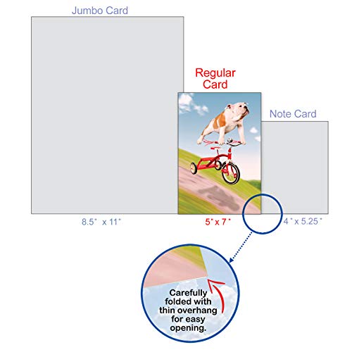 NobleWorks - 1 Adorable Birthday Card Funny - Pet Dog Animal Humor, Bday Notecard with Envelope - Dog on Trike C3204BDG